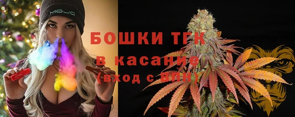 твердый Аркадак