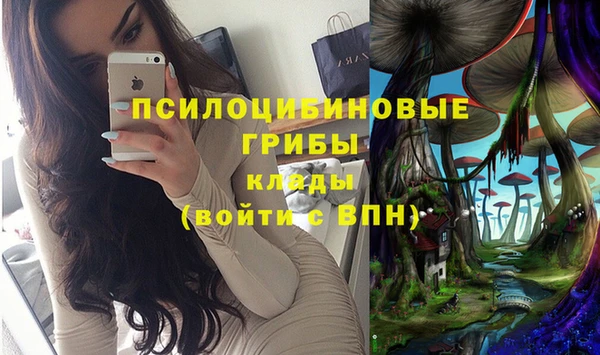 амф Арсеньев