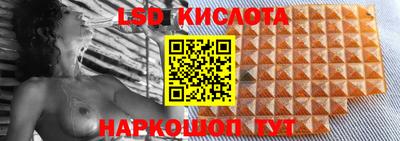 прущие грибы Вязники
